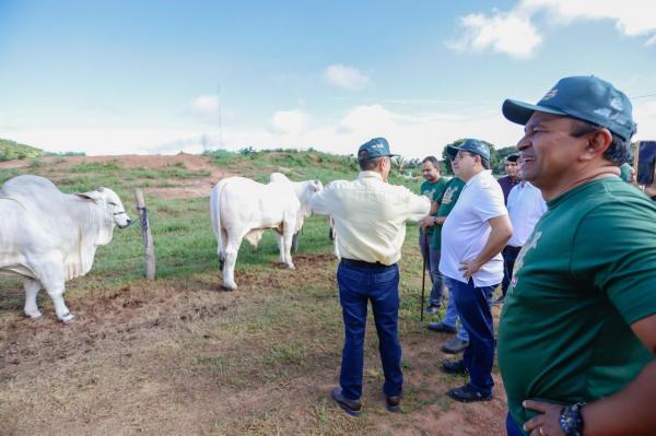  Piau&iacute; ser&aacute; reconhecido como &aacute;rea livre de febre aftosa sem vacina&ccedil;&atilde;o na pr&oacute;xima semana.(Imagem:Tavynho Neto)
