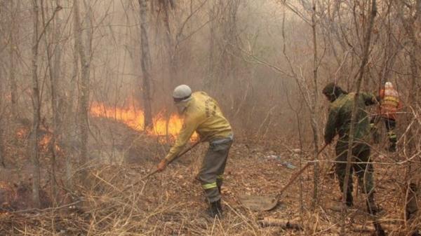 Novos inc&ecirc;ndios foram registrados em alguns pontos do Pantanal nos &uacute;ltimos dias, ap&oacute;s fogo diminuir no bioma.(Imagem:Silvio de Andrade/Governo de MS)