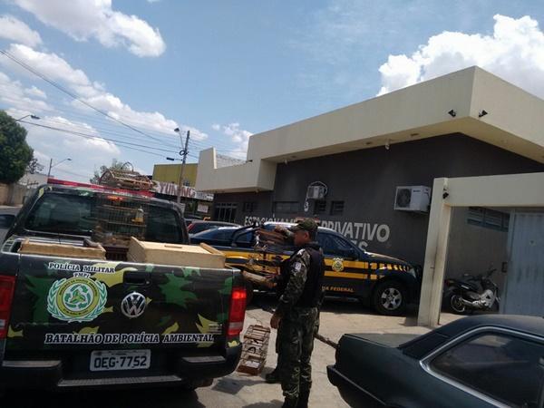 Apreens&otilde;es feitas pelo BPA.(Imagem:Pol&iacute;cia Militar)
