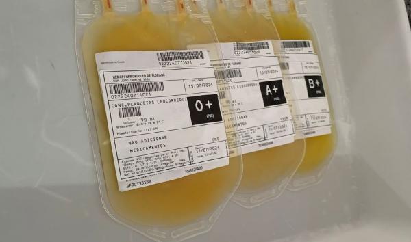  Hemopi inicia produ&ccedil;&atilde;o e distribui&ccedil;&atilde;o de plaquetas em Floriano e descentraliza servi&ccedil;o.(Imagem:Divulga&ccedil;&atilde;o)
