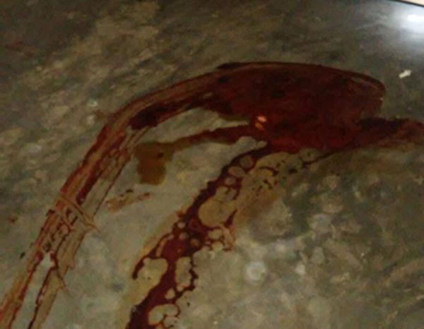 Vaqueiro flagra traição e mata esposa e suposto amante a tiros