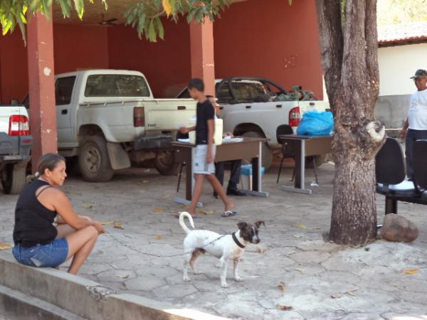 Floriano imuniza animais durante a Campanha de Vacina&ccedil;&atilde;o Antirr&aacute;bica.(Imagem:FlorianoNews)