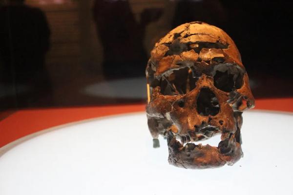 Museu do Homem Americano conta hist&oacute;ria da humanidade.(Imagem:Pedro Santiago/G1)
