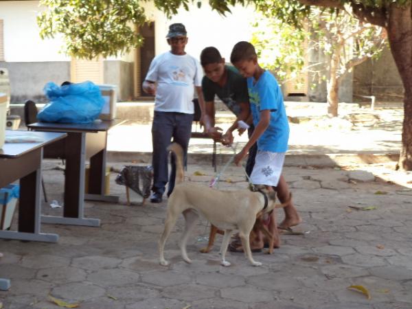 Floriano imuniza animais durante a Campanha de Vacina&ccedil;&atilde;o Antirr&aacute;bica.(Imagem:FlorianoNews)