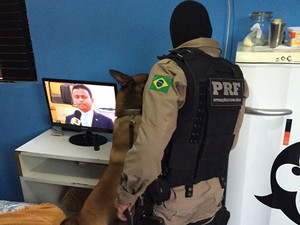 Polícia prende três pessoas que vendiam droga perto de distrito em Teresina