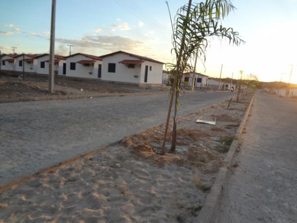 Dia do Meio Ambiente &eacute; marcado por plantio de mudas em Floriano.(Imagem:FlorianoNews)