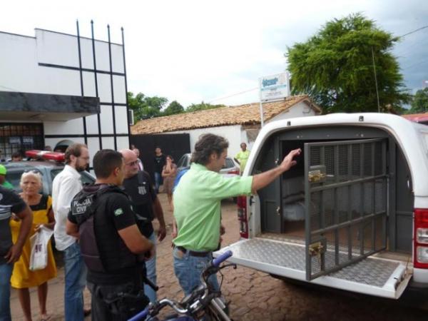 Ex-prefeito &eacute; preso dentro de F&oacute;rum ap&oacute;s interrogat&oacute;rio.(Imagem:Cidadeverde.com)
