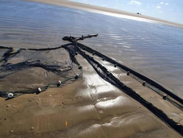  PF apreende redes de pesca ilegais na &aacute;rea de prote&ccedil;&atilde;o do Delta do Parna&iacute;ba.(Imagem:Divulga&ccedil;&atilde;o/Pol&iacute;cia Federal )