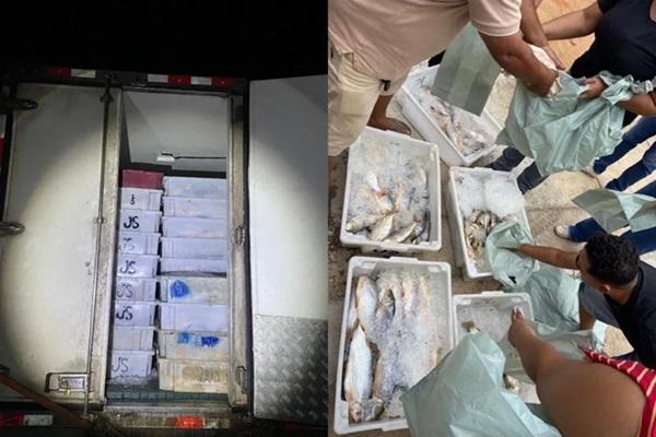 Carga de peixe apreendida em S&atilde;o Raimundo Nonato (Imagem:PMPI)