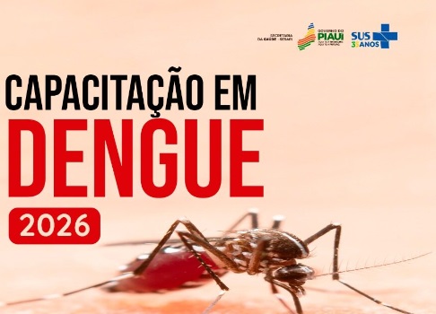 Sesapi orienta profissionais de saúde sobre manejo da dengue em capacitação online