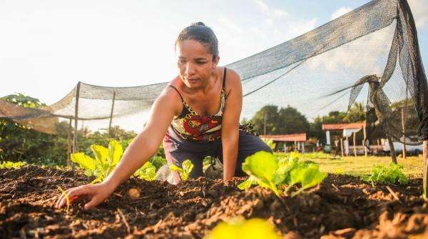Projeto que vai investir R$ 250 milh&otilde;es na agricultura familiar come&ccedil;a a ser executado em 2025(Imagem:Geirlys Silva / SAF)
