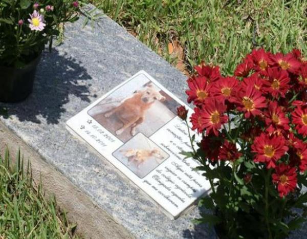 Cemitério pet, único do Nordeste, recebe visitas no Dia dos Finados