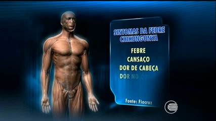 Autoridades investigam aumento no número de casos de chikungunya