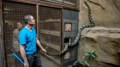 Mulher é encontrada morta com cobra enrolada no pescoço