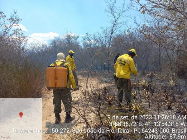 Animais morrem queimados em inc&ecirc;ndio que j&aacute; dura cinco dias no Norte do Piau&iacute;, divisa com o Cear&aacute;.(Imagem:Reprodu&ccedil;&atilde;o)
