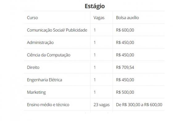 Est&aacute;gio(Imagem:CIEE-Piau&iacute;)