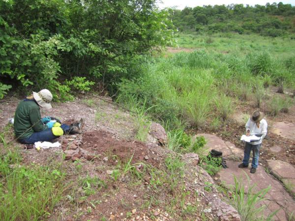 Pesquisadores encontram f&oacute;sseis mais antigos que dinossauros no Piau&iacute; e Maranh&atilde;o.(Imagem:Divulga&ccedil;&atilde;o)