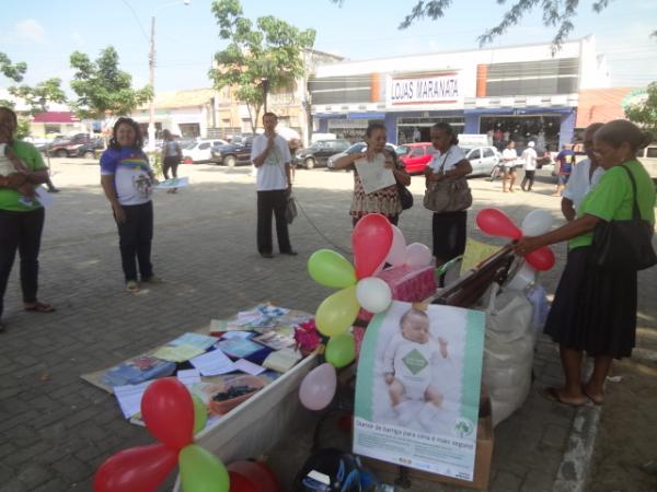 Pastoral da Crian&ccedil;a comemora o Dia do Voluntariado em Floriano.(Imagem:FlorianoNews)