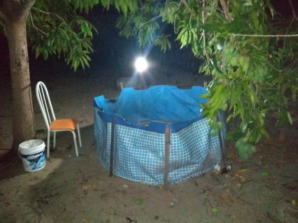 Arena usada para as rinhas de galo foi encontrada na casa do suspeito em Lu&iacute;s Correia, no litoral do Piau&iacute;.(Imagem:Divulga&ccedil;&atilde;o/Batalh&atilde;o de Pol&iacute;cia Ambiental)