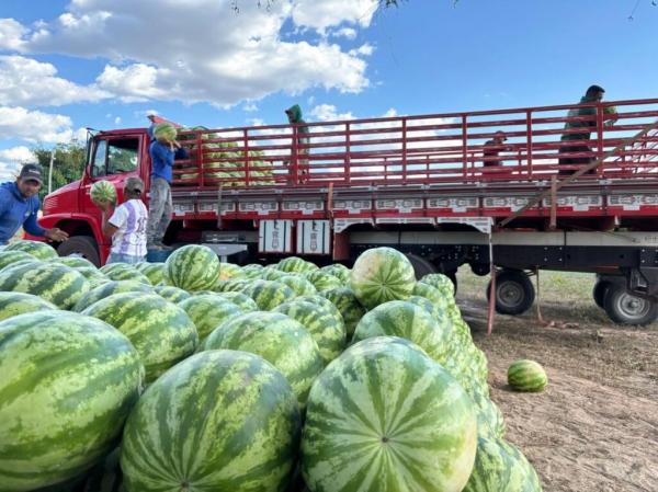 Melancia &eacute; destaque entre os produtos cultivados em Malhada Alta.(Imagem: Arquivo Pessoal)