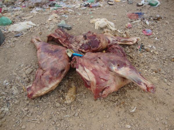 Carne apreendida(Imagem:reda&ccedil;&atilde;o)