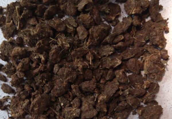 Tráfico de supermaconha cresce em Teresina e chega a 60% das apreensões