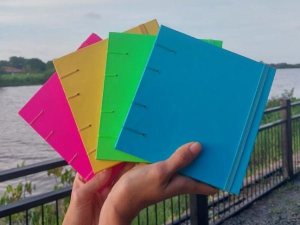 Cole&ccedil;&atilde;o de cadernos para o Carnaval.(Imagem: Reprodu&ccedil;&atilde;o/Instagram)