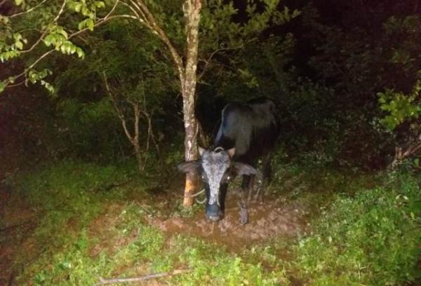 PM de Barão de Grajaú apreende veículo de suspeitos de roubo.(Imagem:Divulgação/PM)
