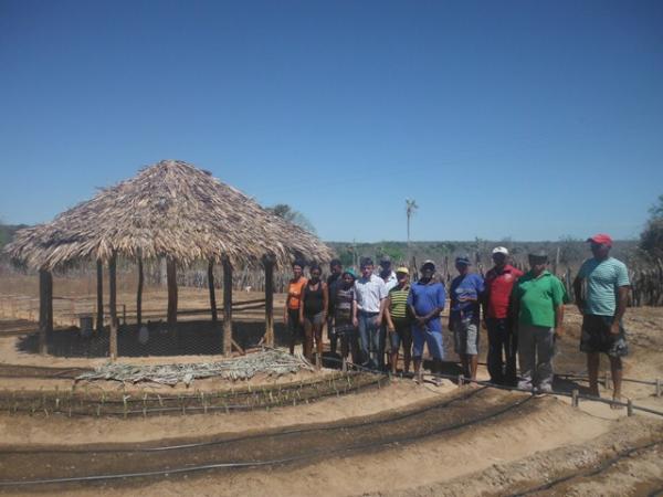 Pequenos agricultores de Floriano são beneficiados através do Projeto PAIS