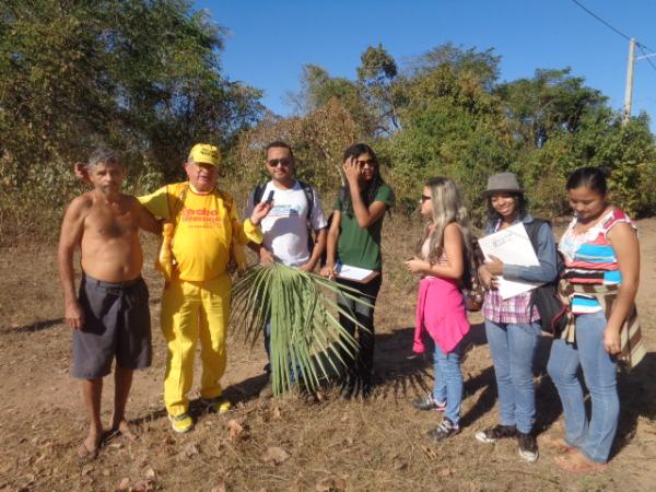 Acadêmicos estudam relação entre plantas e moradores de localidade rural