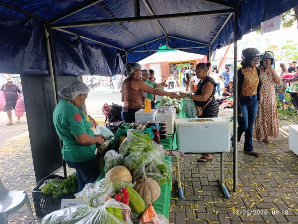 II Feira da Agricultura Familiar movimenta a Praça Dr. Sebastião Martins em Floriano(Imagem:FlorianoNews)