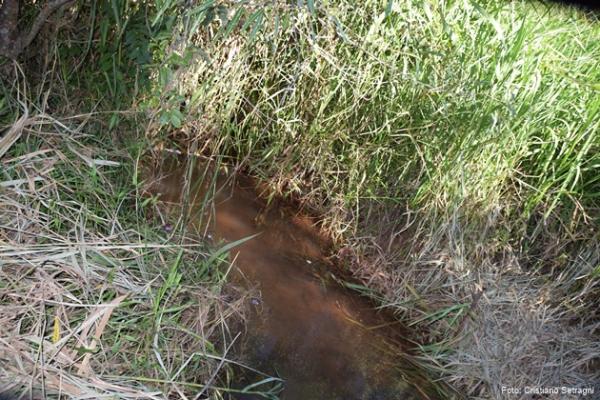Governador decreta emergência no rio Paraim