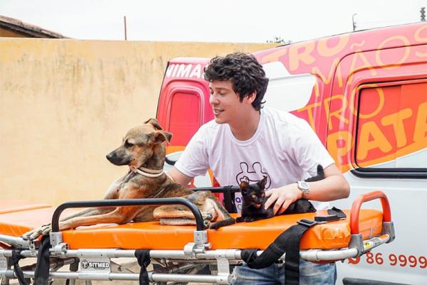 Empresário doa ambulância para resgate de animais em risco
