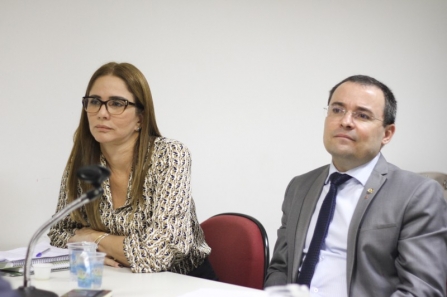 Deputada Lucy alerta para transtornos causados por buracos na BR - 316