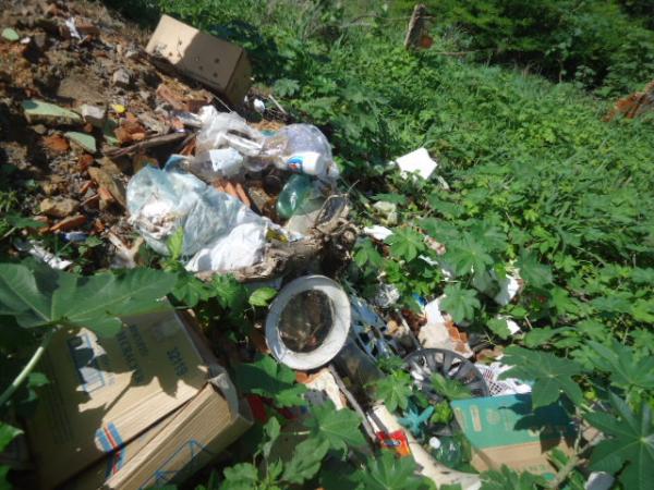 Secretaria de Saúde realiza mutirão contra a dengue em Floriano.(Imagem:FlorianoNews)