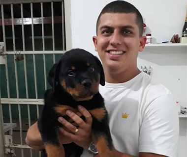Filhote de rottweiler furtado para comprar drogas é resgatado