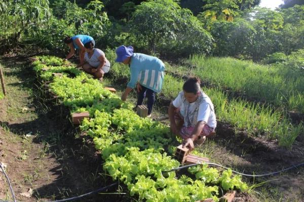 Produtos da agricultura familiar.(Imagem:Divulga&ccedil;&atilde;o/Ccom)