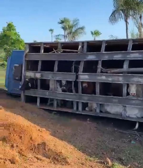 Já o passageiro, apesar dos ferimentos leves, foi encaminhado ao Hospital de Campo Maior para receber atendimento. O trecho onde o acidente ocorreu é conhecido por ter uma curva m(Imagem:Reprodução)