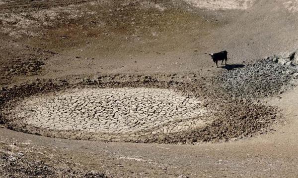 Municípios do Piauí decretam situação de emergência devido à seca