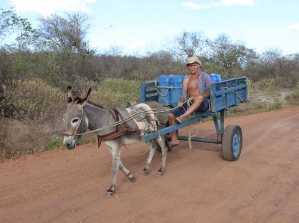Aposentado percorre em uma carro&ccedil;a 10 km em busca de &aacute;gua.(Imagem:Gilcilene Ara&uacute;jo/G1)