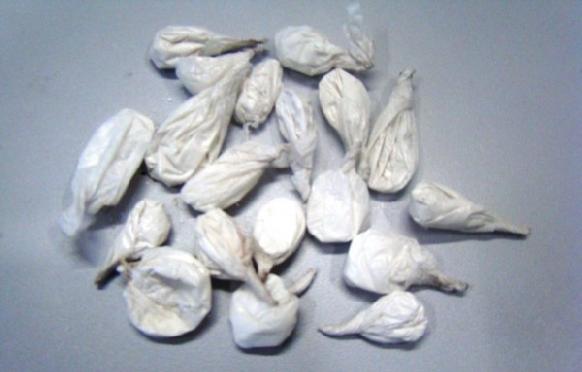 Polícia encontra 53 trouxas de cocaína nas partes íntimas de uma mulher