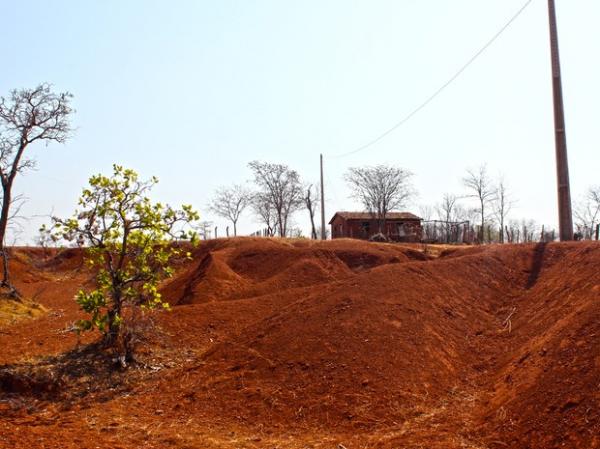 Desertificação no PI atinge área 5 vezes maior do que a cidade de São Paulo