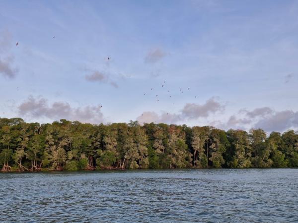 Delta do Rio Parnaíba registra crescimento de 23,6% na visitação turística em janeiro deste ano(Imagem:Gilza Beatriz Aires)