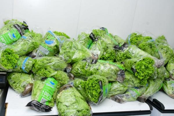 Barão de Grajaú recebe trator da CODEVASF para fortalecer a agricultura local(Imagem:Secom)