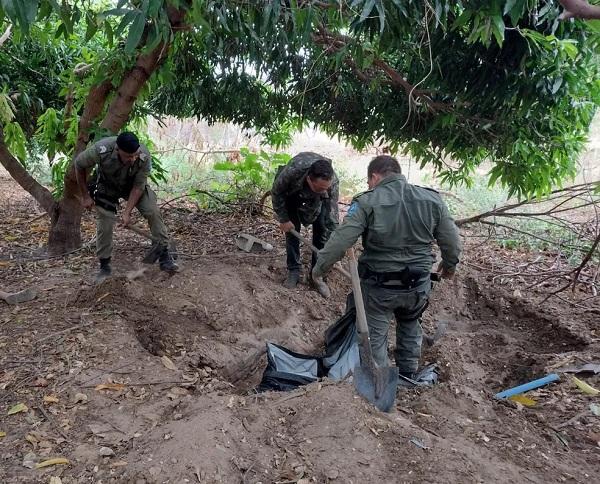  PM encontra centenas de tabletes de maconha enterrados em s&iacute;tio no Piau&iacute; e prende um homem.(Imagem:Divulga&ccedil;&atilde;o /PM-PI )