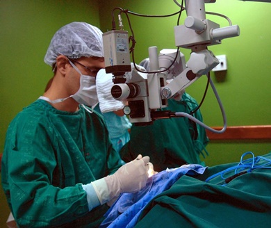 Teresina concentra mais de 70% do número de médicos do Piauí, diz CRM