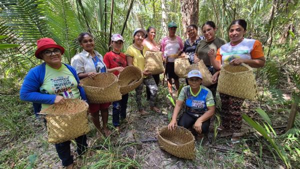 No Piau&iacute;, quebradeiras v&atilde;o criar primeira f&aacute;brica de sabonetes artesanais feitos com &oacute;leo de coco baba&ccedil;u(Imagem:Divulga&ccedil;&atilde;o)