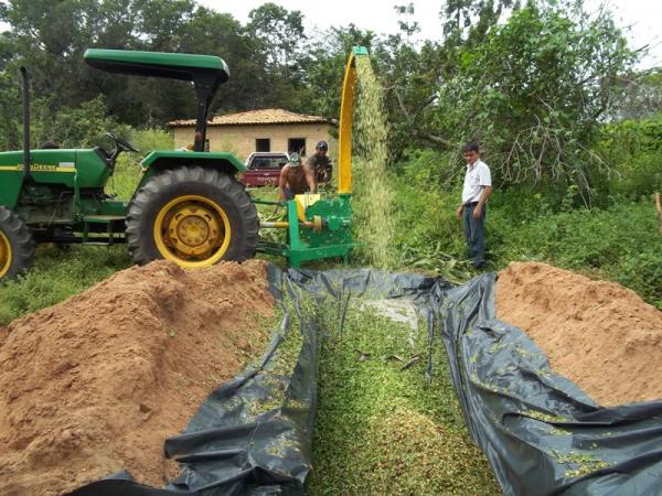 Secretaria de Desenvolvimento Rural realiza dia de campo sobre confecção de silagem