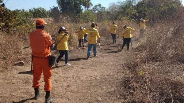 Semarh fortalece ações de combate aos focos de incêndios florestais no Piauí(Imagem:Divulgação)