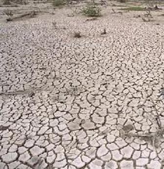 Municípios do Piauí estão em áreas ameaçadas de desertificação